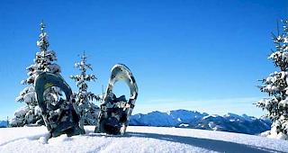 Wer etwa auf Schneeschuhen die Winterlandschaft erkunden will, kann bald auf ein neues Angebot zur&uuml;ckgreifen. (Symbolbild)