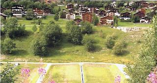 DIe Wurzelraumkl&auml;ranlage Wiler muss saniert werden. 