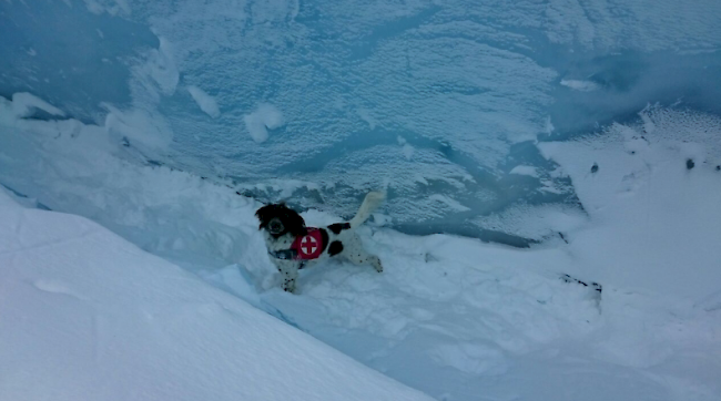 Bergunfall Jungfraufirn Bergrettung Gletscherspalte