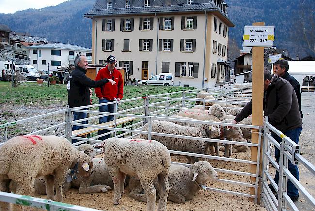 Impressionen vom Widdermarkt.