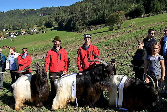 Die Brüder Josef und Bernhard Gröbl (von links nach rechts) mit mehreren ihrer Schwarzhalsziegen. Ebenfalls auf dem Bild ist Josef Gröbls Tochter Verena (ganz rechts).