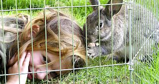 Kaninchen und Kinder: Keine ideale Zusammenstellung.