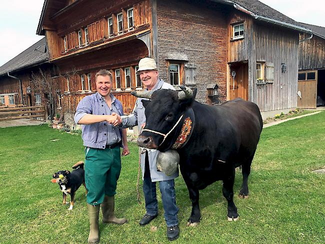 Kuh-Handel. Freude herrscht bei den beiden Tonis am Samstagmorgen auf Brunners Hof in Toggenburg.