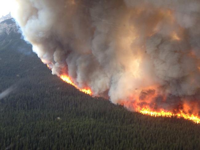 Unter anderem kommt Aufdenblatten beim Löschen von Waldbränden zum Einsatz.