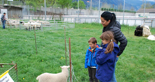 Gross- und Kleinviehschau in Naters