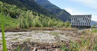 Vom einst lebendigen Biotop mit einer Vielzahl verschiedener Tierarten ist nichts mehr &uuml;briggeblieben. 
