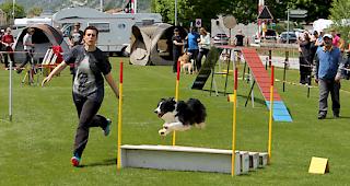 Einige Eindr&uuml;cke vom Agility Meeting am Samstag.