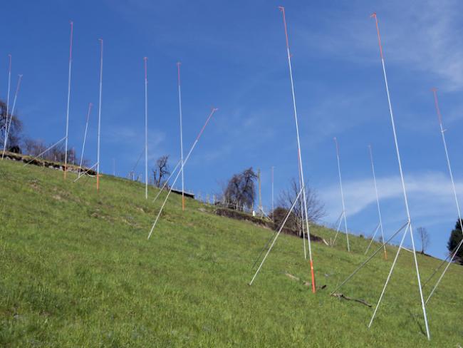 Baugespanne für eine grosse Wohnüberbauung in Ennetbürgen