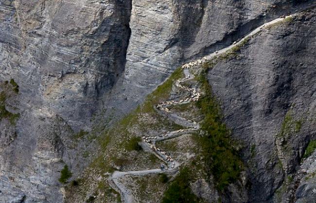 Der historische Gemmiweg