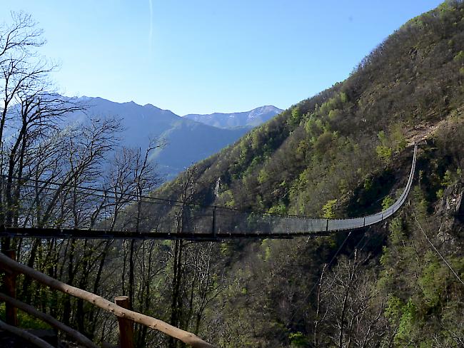 Tibetanische Hängebrücke oberhalb von Monte Carasso im Tessin.