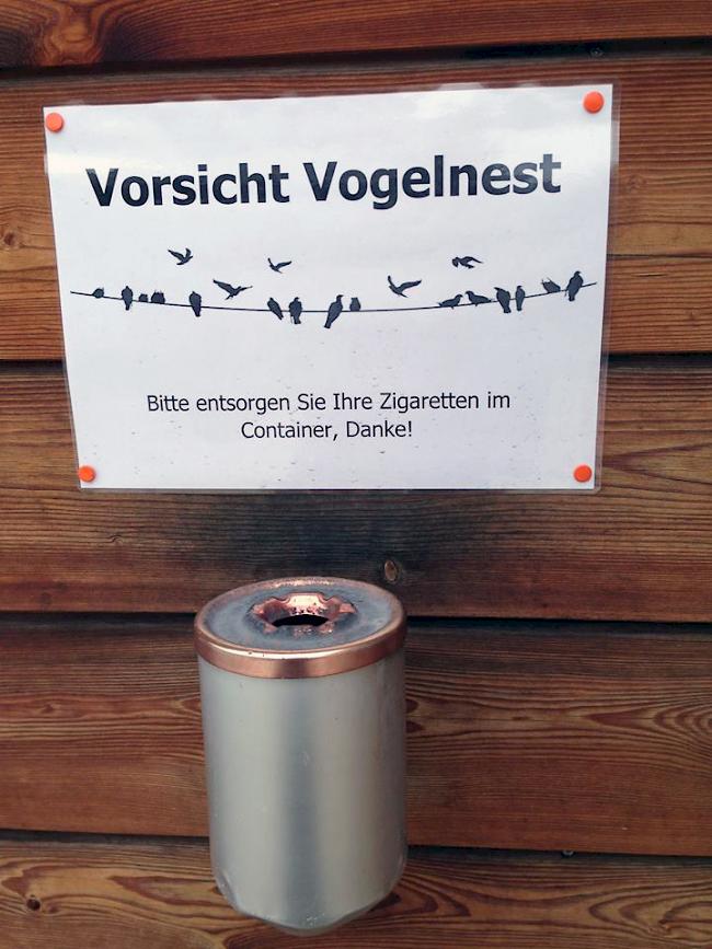 Zweckentfremdeter Aschenbecher: Vorsicht Vogelnest! 