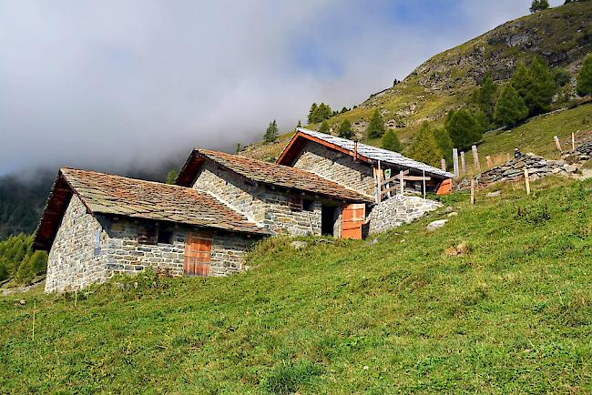 Alpe Pletschen oberhalb von Embd. (Archiv)