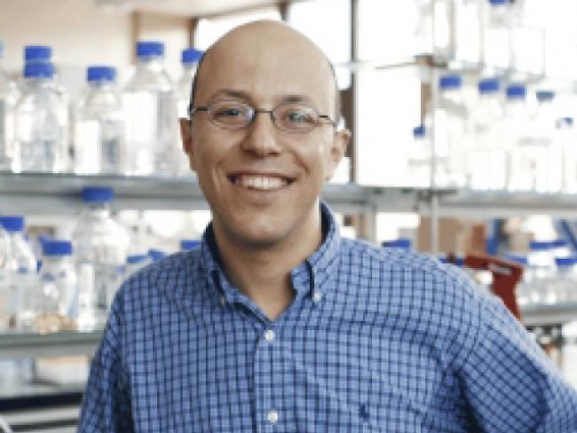 Der Krebsforscher Mohamed Bentires-Alj (Bild: FMI)