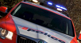 Am vergangenen Montag konnten in einer gemeinsamen Aktion von Gemeinde- und Kantonspolizei in Visp drei Diebe festgenommen werden, welche in Baltschieder Ladendiebstahl begangen hatten (Archiv). 