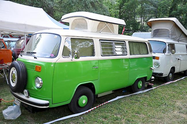 Momentan lassen sich auf dem Campingplatz vor Mörel Bullis aller Farben und Modelle bestaunen.