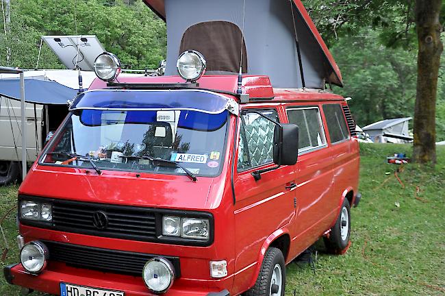 Momentan lassen sich auf dem Campingplatz vor Mörel Bullis aller Farben und Modelle bestaunen.