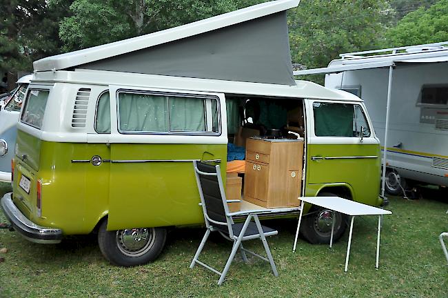 Momentan lassen sich auf dem Campingplatz vor Mörel Bullis aller Farben und Modelle bestaunen.