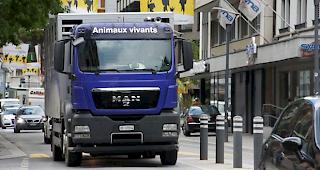 Mit dem st&auml;ndigen Bestreben, der Bev&ouml;lkerung bestm&ouml;gliche Informationen anzubieten, stellt die Kantonspolizei Wallis seit Mitte Februar 2019 eine interaktive Strassenzustandskarte zur Verf&uuml;gung. 
