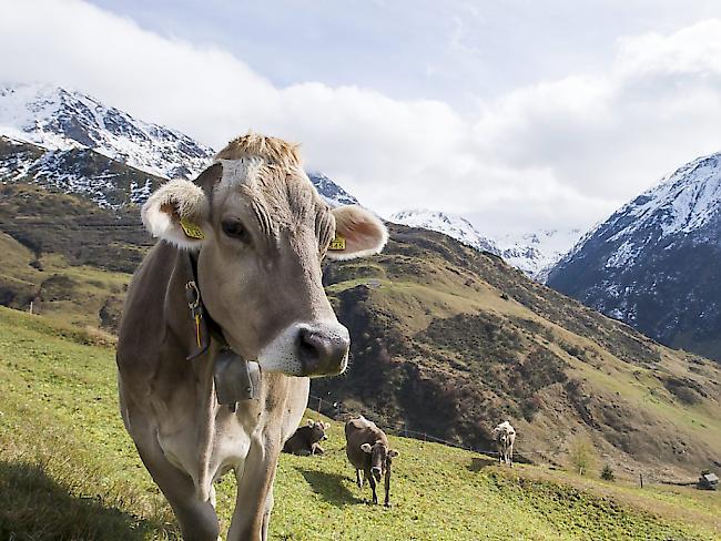 Der Wasserbedarf auf den Alpen ist hoch. (Symbolbild)