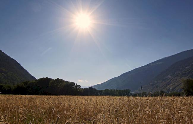 Im Wallis werden ab Dienstag erneut Höchsttemperaturen erwartet. 