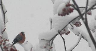 Am Mittwoch sind im Wallis weitere Niederschl&auml;ge und orkanartige Winde zu erwarten. 