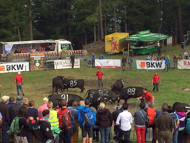 Impressionen vom Sommerstechfest in Visperterminen