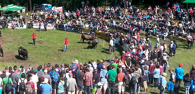 Impressionen vom Sommerstechfest in Visperterminen