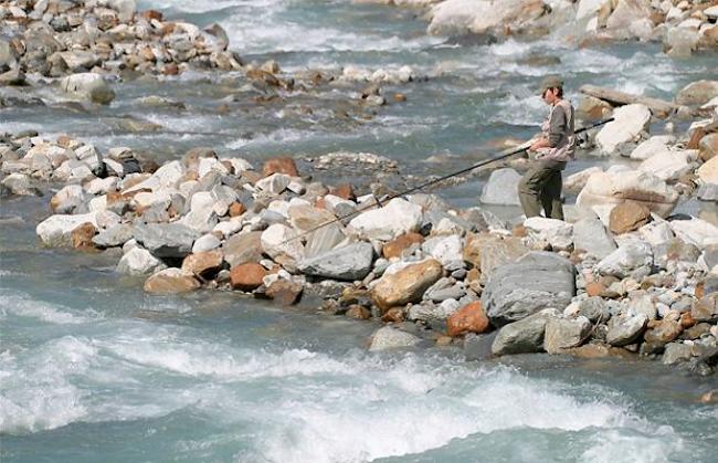 Trotz rückgäniger Zahlen wurden erhebliche Fischereierträge erzielt. 