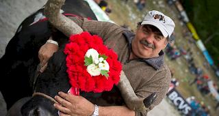 &laquo;Cobra&raquo; aus der Stallung von Viktor Gsponer aus Niedergampel holt den begehrten Titel.