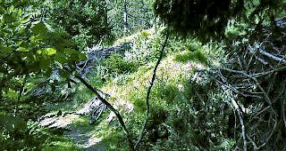 Neben gespannten Dr&auml;hten wird auch mit aufgestellten &Auml;sten die Durchfahrt erschwert.