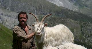 Z&uuml;chterstolz: der erfolgreiche Natischer Z&uuml;chter Roland Fercher mit den selten gewordenen Capra Sempione auf der Belalp. Dort werden die Tiere von Mai bis Oktober ges&ouml;mmert. 