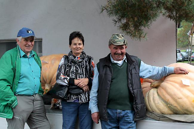 Die Sieger des diesjährigen Kürbiswettbewerbs (v.l.): Die Ausserberger Hubert und Therese Schmid holten den 1. Platz. Gefolgt von Alfredo Mammone aus Naters, der Platz 2 und 3 belegte.  