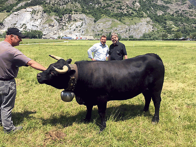 Kuhhandel. Lukas Jäger aus Turtmann (links) verkaufte im Sommer SVP-Nationalrat Franz Grüter (hinten rechts) aus Luzern mithilfe von Berater Toni Brunner Eringerkuh «Micabol».