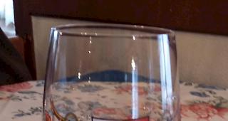 Grussbild von Kaktus