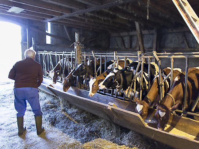 Mindestens zehn Prozent der Tierschutzkontrollen sollten unangemeldet erfolgen. (Symbolbild)