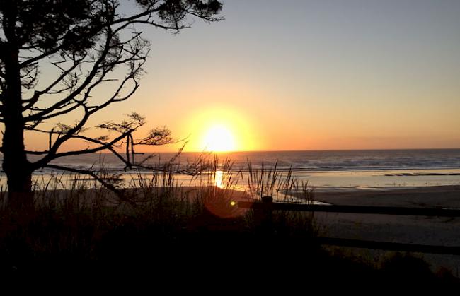 Pazifischer Ozean an der Westküste beim Cape Lookout State Park