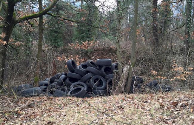 Entsorgung leicht gemacht. Im Februar sorgten 200 im Pfynwald entsorgte Altpneus für Kopfschütteln.