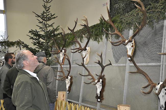 An der Trophäenschau gabs viel zu staunen.