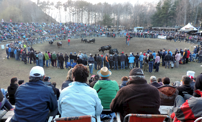 Gut besuchte Goler-Arena in Raron. 