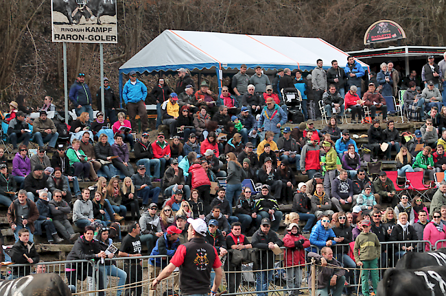 Impression vom Vifra-Stechfest vom Ostermontag in Raron.