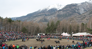 Impression vom Vifra-Stechfest vom Ostermontag in Raron.