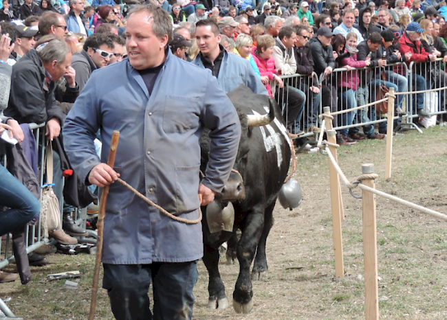 Final Erstmelken