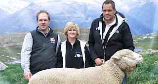 Josef und Yvonne Werlen sowie der Oberwalliser WAS-Verbandspr&auml;sident Fabian Schwery (links) posieren mit &laquo;Mister Gampel&raquo;, dem Widder Bond.