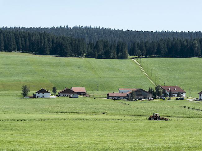 Kleinere und mittlere Bauernhöfe kämpfen ums Überleben: Im letzten Jahr gingen mehr als 800 Betriebe ein. (Symbolbild)