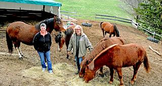 Pia Franceschini und Peter Trummer f&uuml;hlen sich vom Veterin&auml;ramt und der Gemeinde gen&ouml;tigt: Jetzt droht das Aus f&uuml;r ihren Gnadenhof.