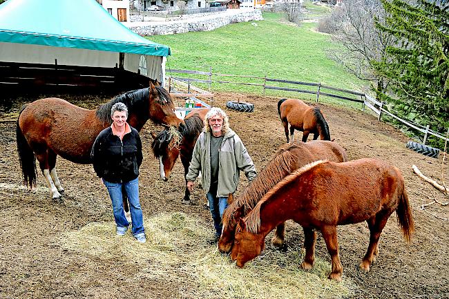 Pia Franceschini und Peter Trummer fühlen sich vom Veterinäramt und der Gemeinde genötigt: Jetzt droht das Aus für ihren Gnadenhof.