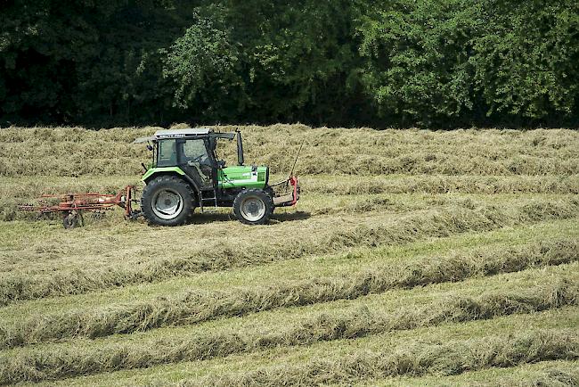 Seit dem Jahr 2000 haben sich die landwirtschaftlichen Betriebe im Wallis deutlich verringert (Symbolbild).