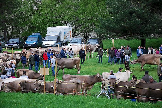 Das heutige Jubiläumsfest in Grengiols war gut besucht.