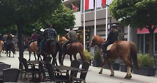 Die berittene Karawane zog durch Visp.