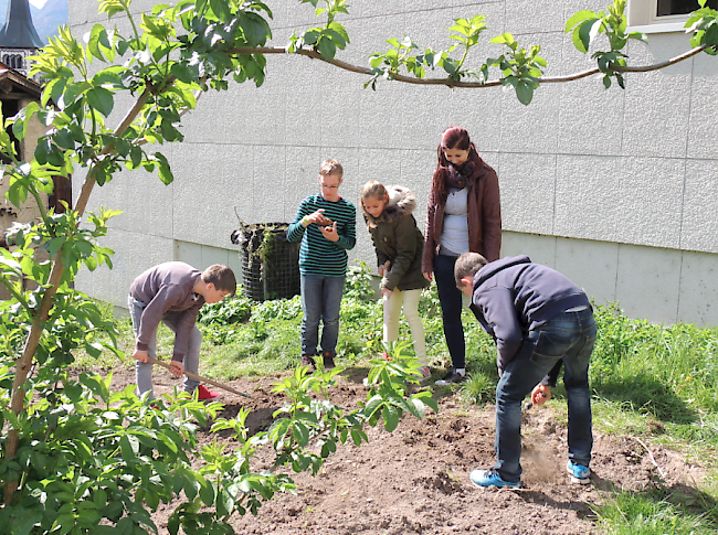 Der Schulgarten wird für das Einsäen bereit gemacht.